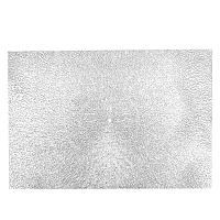 Салфетка сервировочная плейсмат 45*30см Аjouré серебро Nouvelle Daily